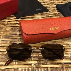 Carrier Rimless Sunglasses